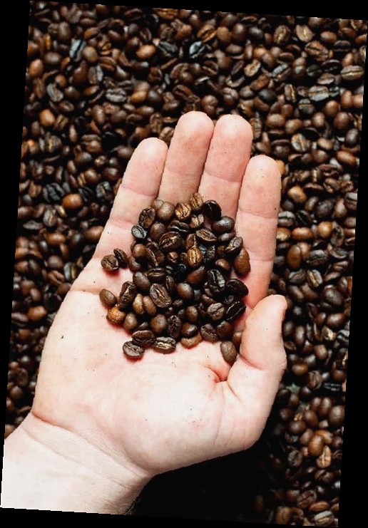 Premium Coffee Beans